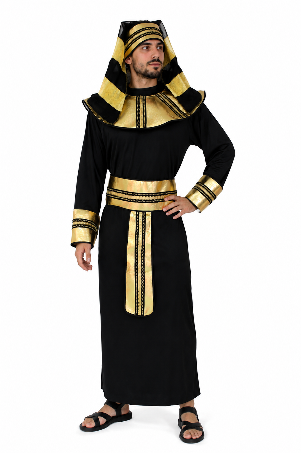 RAMSES
