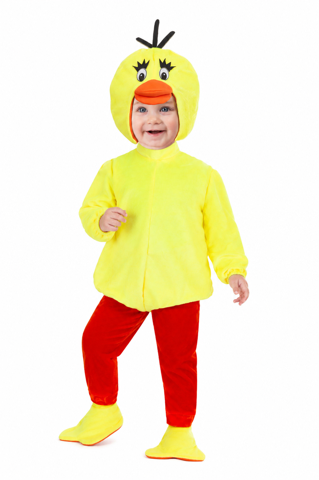 PULCINO